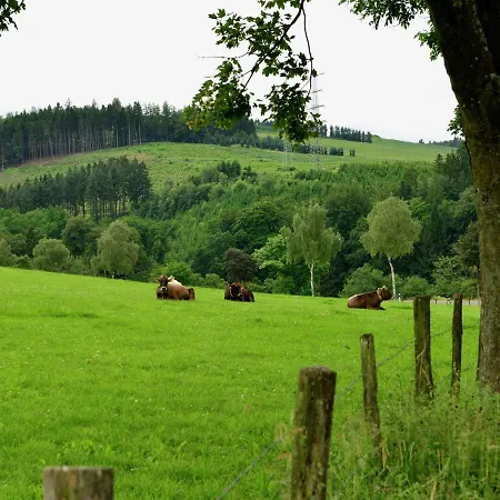 Cozy With Balcony Near Winterberg